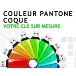Coloris sur mesure coque Pantone clé USB publicitaire